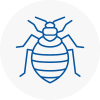 Bed Bug Extermination In Gants Hill