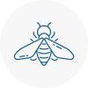 Bee Nest Removal Gants Hill