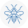 Gants Hill Hornet Nest Removals