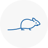 Mice Exterminators In Gants Hill
