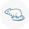Rat Control Gants Hill