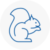 Gants Hill Rodent Removals