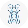 Gants Hill Wasp Nest Removal
